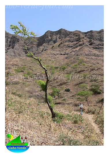 Santiago : Achada Mula Junco Assomada : circito pedestre : Landscape MountainCabo Verde Foto Gallery