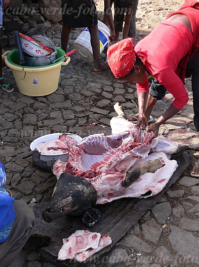 Santiago : Ribeirao Manuel : butcher : People WorkCabo Verde Foto Gallery