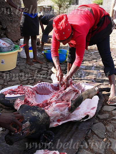 Santiago : Ribeirao Manuel : open air pork butcher : People WorkCabo Verde Foto Gallery
