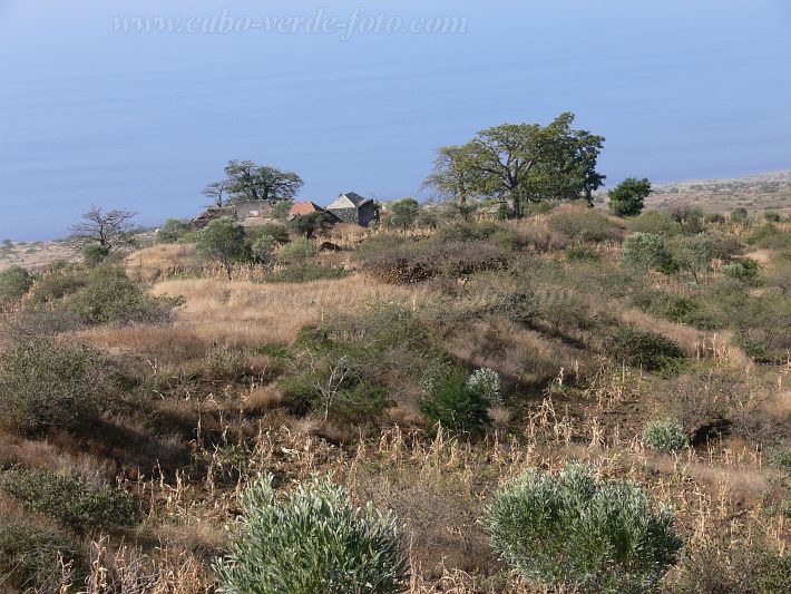 Fogo : Mae Chabi Maria Chave : quinta : Landscape AgricultureCabo Verde Foto Gallery