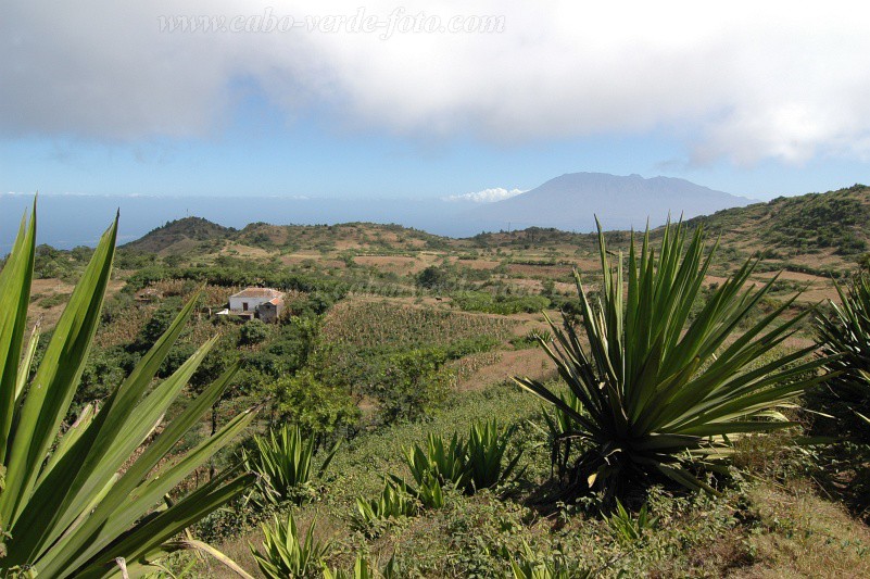 Brava : Fontainhas : planalto : LandscapeCabo Verde Foto Gallery