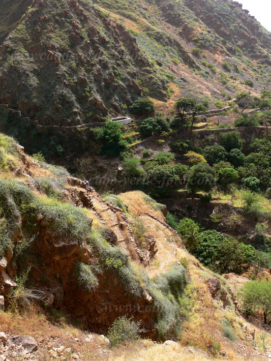 Brava : Ferreiros Odjo d Agua : circito turstico : Landscape MountainCabo Verde Foto Gallery