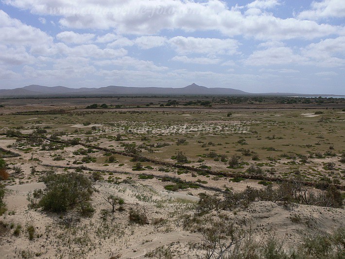 Maio : Terras Salgada : planice : Landscape DesertCabo Verde Foto Gallery