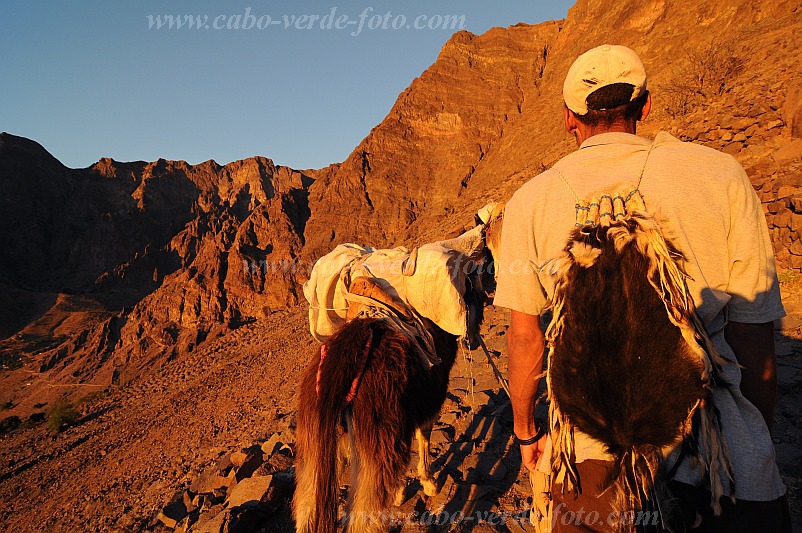 Santo Anto : Caetano Bordeira de Norte : hiking trail donkey : Technology TransportCabo Verde Foto Gallery