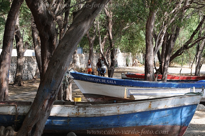 Santo Anto : Tarrafal de Monte Trigo : barco : Landscape SeaCabo Verde Foto Gallery