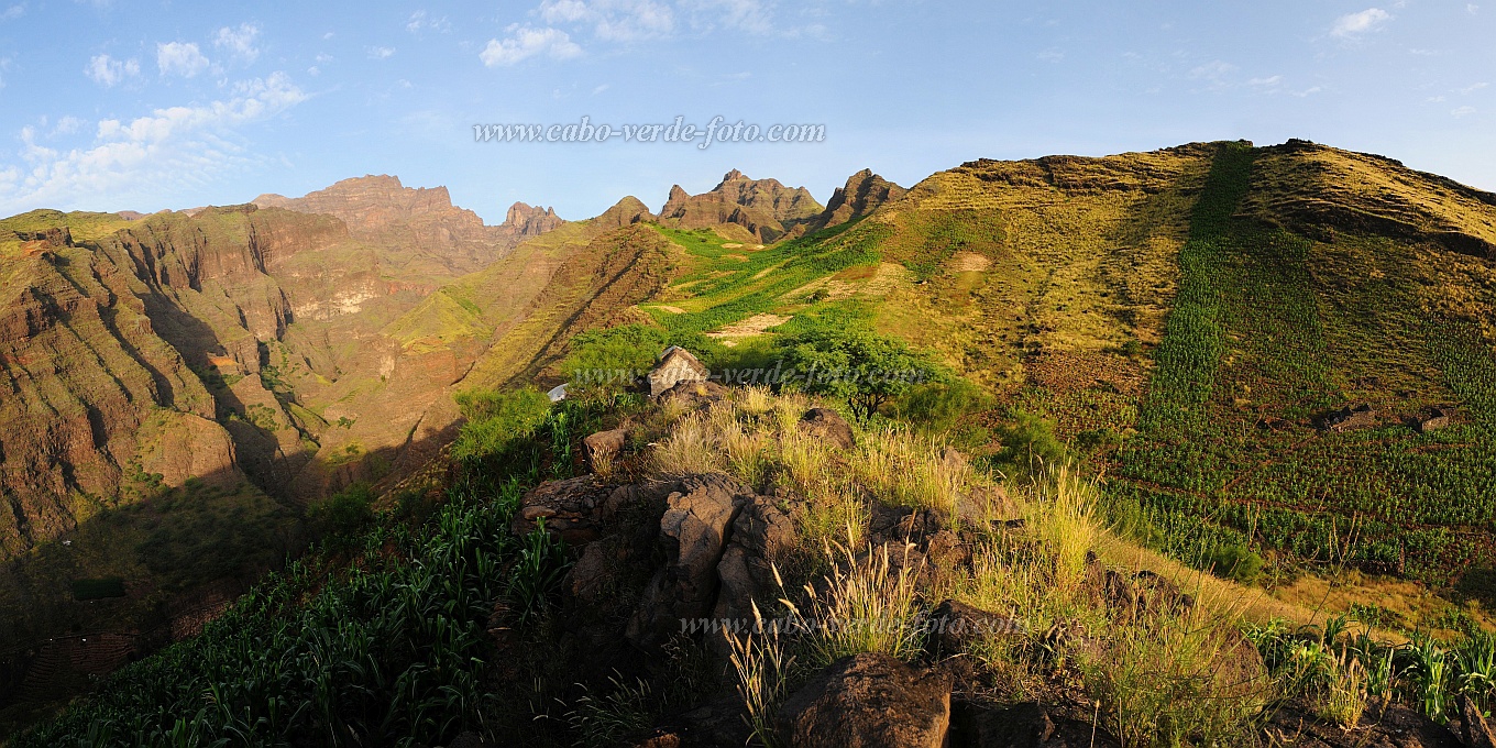 Santo Anto : Tabuleirinho da Tabuga : paisagem verde : LandscapeCabo Verde Foto Gallery
