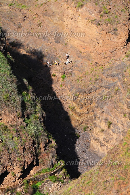 Santo Anto : Tabuleirinho da Tabuga : vista burro : Landscape MountainCabo Verde Foto Gallery