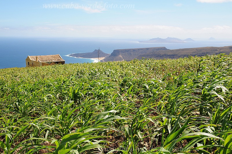 Insel: So Vicente  Wanderweg:  Ort: Monte Verde Motiv: Feld Motivgruppe: Landscape Agriculture © Pitt Reitmaier www.Cabo-Verde-Foto.com