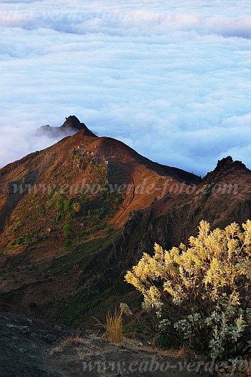 Santo Anto : Pico da Cruz - Lomb Corrotch : vista as casas do tope : Landscape MountainCabo Verde Foto Gallery