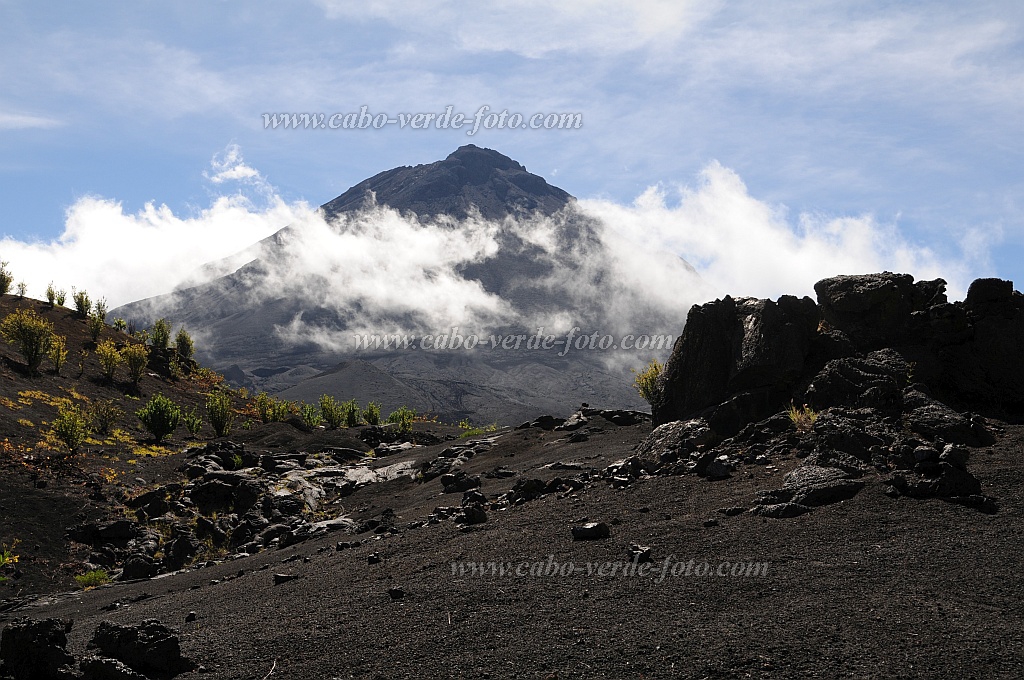 Fogo : Cha das Caldeiras Monte Verde : ilhu verde caminhada nas lavas : Landscape MountainCabo Verde Foto Gallery