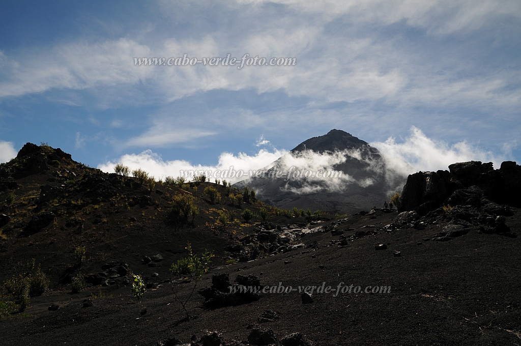 Fogo : Cha das Caldeiras Monte Verde : green island hike lava : Landscape MountainCabo Verde Foto Gallery
