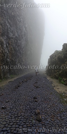 Insel: So Vicente  Wanderweg:  Ort: Monte Verde Motiv: Strasse im Nebel Motivgruppe: Landscape Mountain © Pitt Reitmaier www.Cabo-Verde-Foto.com