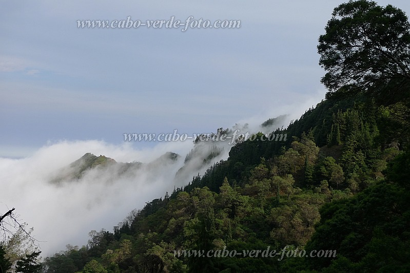 Santo Anto : Ribeira de Croque Pico da Cruz : trade wind clouds : Landscape ForestCabo Verde Foto Gallery