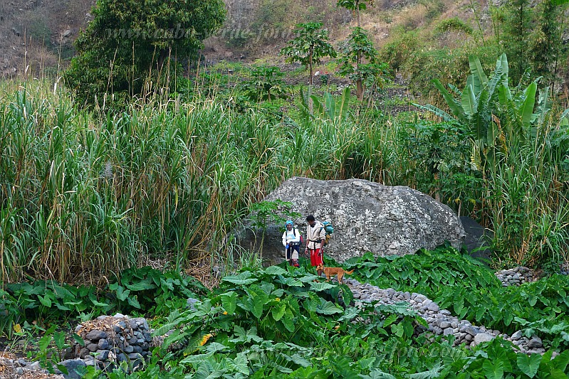 Santo Anto : Paul : hiking trail : LandscapeCabo Verde Foto Gallery