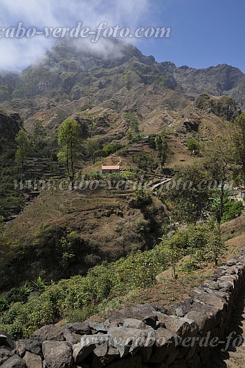 Santo Anto : Cruz de Santa Isabel : agricultura na montanha : Landscape MountainCabo Verde Foto Gallery