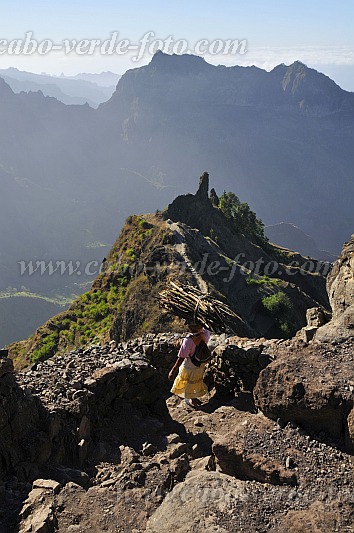 Santo Anto : Santa Isabel Fio de Faca : transporte de lenha : Landscape MountainCabo Verde Foto Gallery