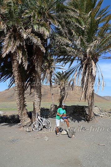 Insel: So Vicente  Wanderweg: 404 Ort: Palha Carga Motiv: MTB Dattelpalmen Motivgruppe: Landscape © Pitt Reitmaier www.Cabo-Verde-Foto.com