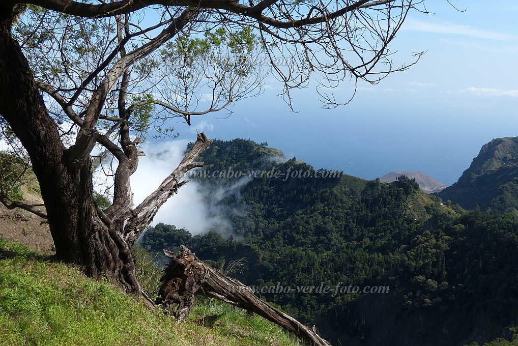Santo Anto : Lombo de Carrosco Gudo sem Voz : vista para Gudo sem Voz : Landscape MountainCabo Verde Foto Gallery
