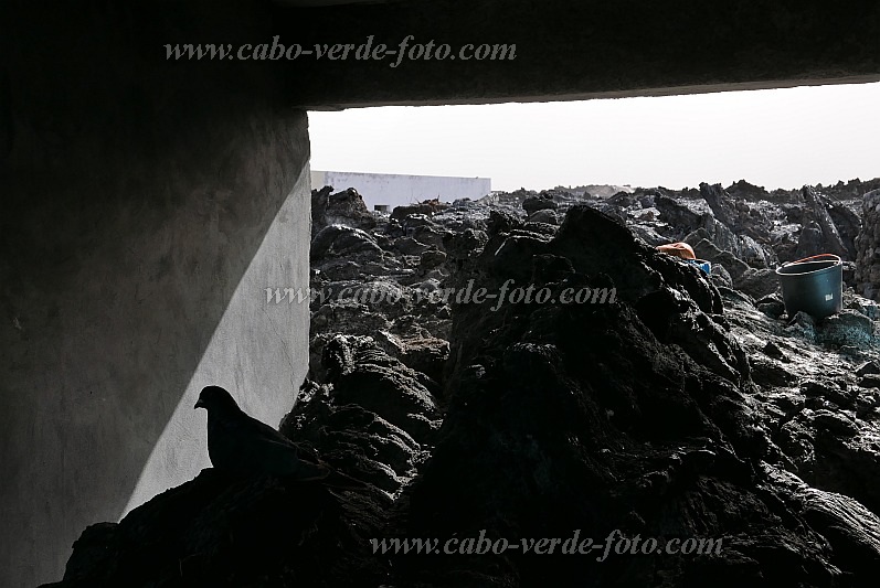 Fogo : Ch das Caldeiras : lava entered a home : Landscape TownCabo Verde Foto Gallery