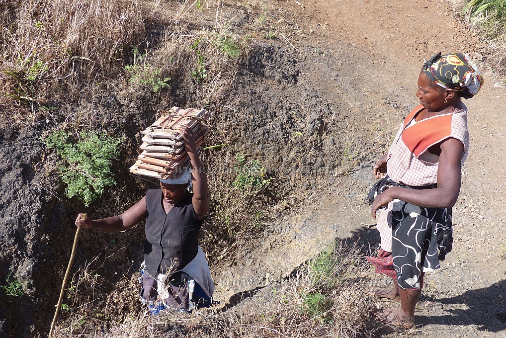 Santiago : Serra Malagueta Cutelo Coruja : moving : People WorkCabo Verde Foto Gallery