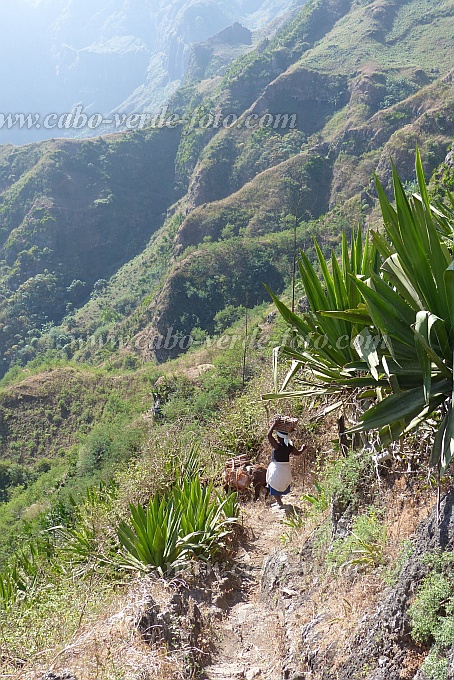 Santiago : Serra Malagueta Cutelo Coruja : mudar de casa : Landscape MountainCabo Verde Foto Gallery