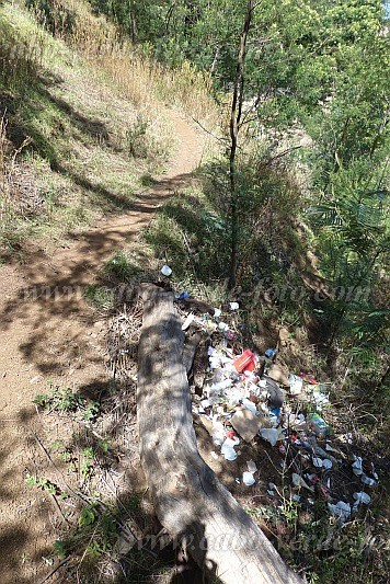 Santo Anto : Espongeiro Escovadinha : lixo na floresta : TechnologyCabo Verde Foto Gallery