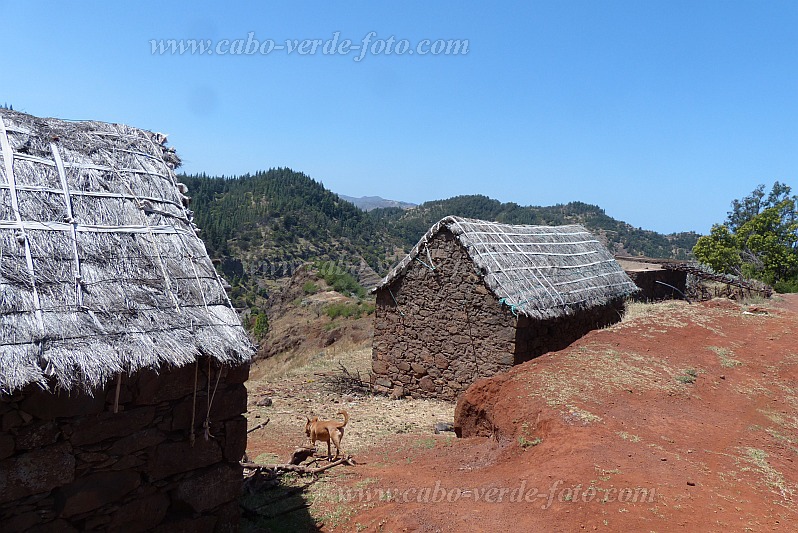 Santo Anto : Escovadinha : casa tradicionais cobertas de palha : Landscape MountainCabo Verde Foto Gallery