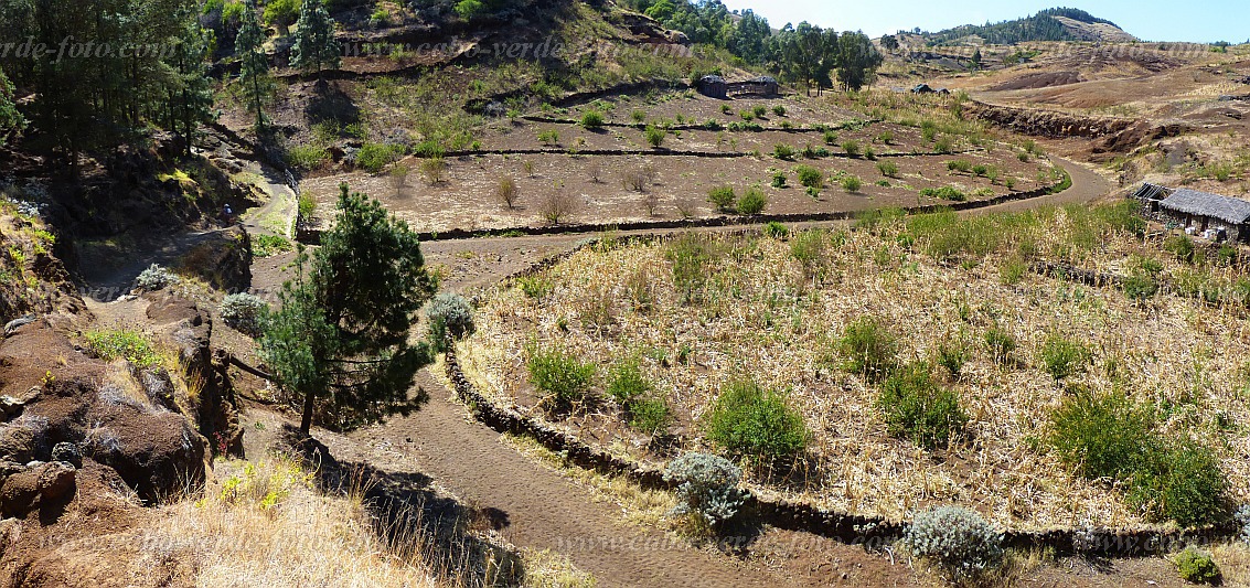 Insel: Santo Anto  Wanderweg: 207a Ort: Ribeira de Poi Motiv: sandiger Talgrund Motivgruppe: Landscape Agriculture © Pitt Reitmaier www.Cabo-Verde-Foto.com