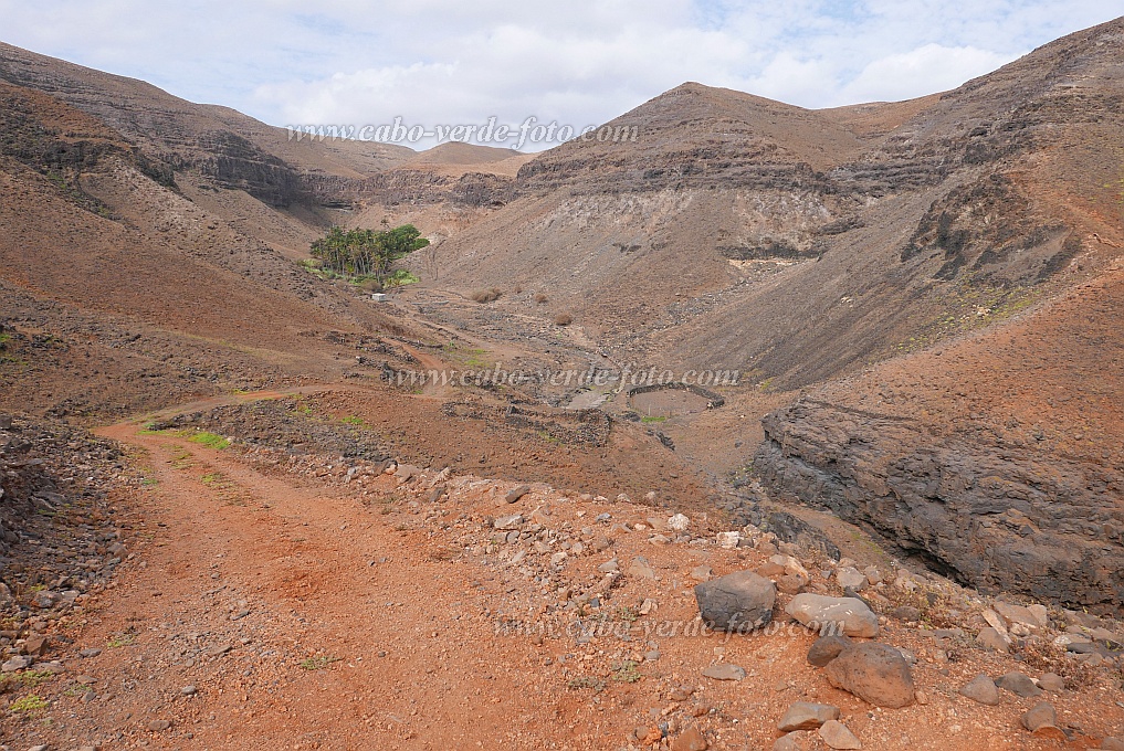 So Nicolau : Castilhano : estrada de terra batida : Landscape DesertCabo Verde Foto Gallery