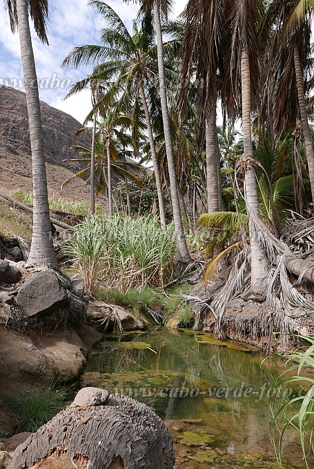 So Nicolau : Castilhano : mountain oasis : Landscape DesertCabo Verde Foto Gallery