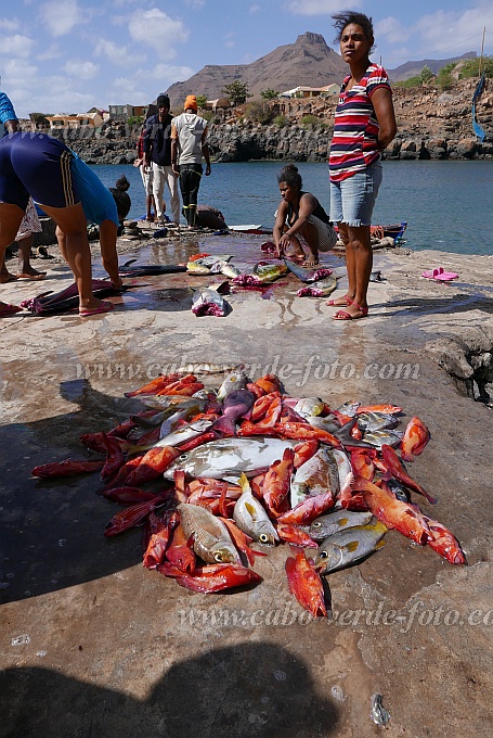 So Nicolau : Carrical : Distribuio do pescado : People WorkCabo Verde Foto Gallery