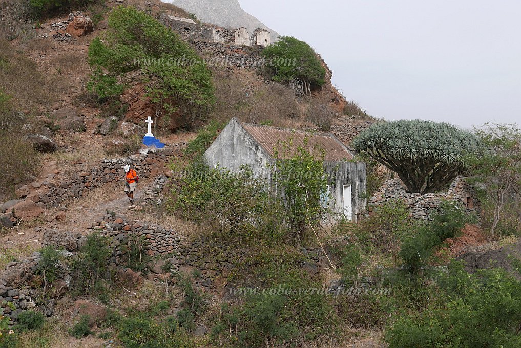 São Nicolau : Queimadas de Cima : dragoeiro : Landscape MountainCabo Verde Foto Gallery