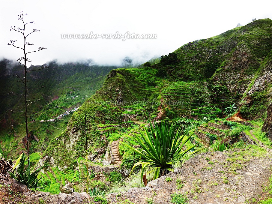 Santo Anto : Losna : caminho vicinal vista p Rabo Curto : Landscape MountainCabo Verde Foto Gallery
