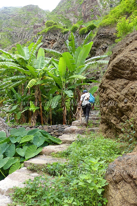 Santo Anto : Ribeira de Lombo de Pico : agricultor : People WorkCabo Verde Foto Gallery