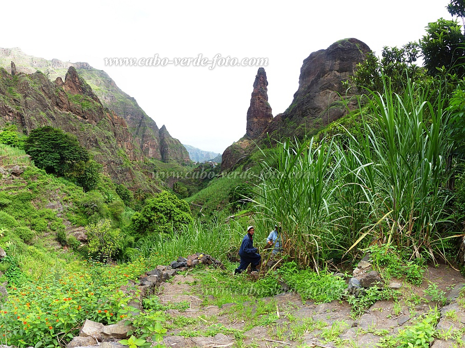 Santo Anto : Ribeira de Lombo de Pico : caminho vizinal : Landscape AgricultureCabo Verde Foto Gallery