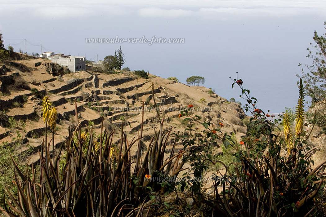 Santo Anto : Figueiral : village : Landscape MountainCabo Verde Foto Gallery