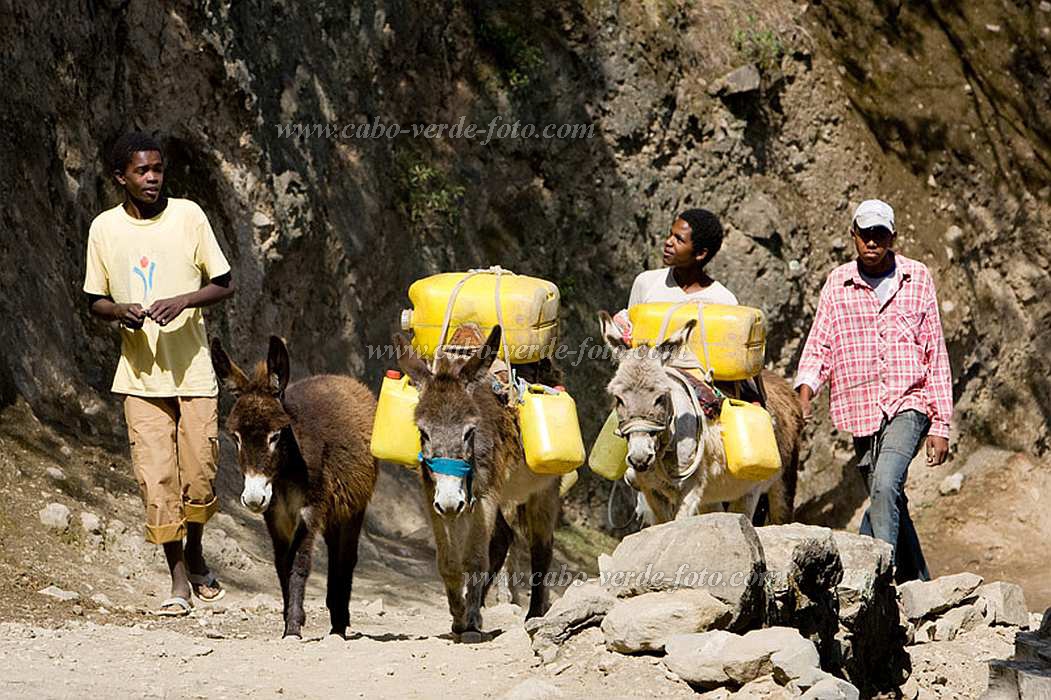 Santo Anto : Cova de Pal : buscar gua com burros : People WorkCabo Verde Foto Gallery