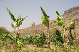 Santiago : Calheta : plantation : Technology Agriculture
Cabo Verde Foto Gallery