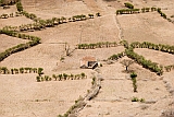 Brava : Fontainhas : campo : Landscape Agriculture
Cabo Verde Foto Galeria