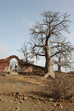 Fogo : Achada da Lapa : baobab : Landscape Agriculture
Cabo Verde Foto Gallery