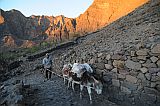 Santo Antão : Caetano Bordeira de Norte : percurso pedestre burro : Landscape Mountain
Cabo Verde Foto Galeria