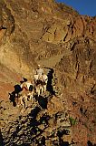 Santo Anto : Caetano Bordeira de Norte : percurso pedestre burro : Landscape Mountain
Cabo Verde Foto Galeria