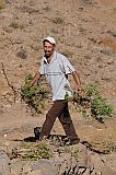 Santo Antão : Bordeira de Norte : percurso pedestre burro : People Work
Cabo Verde Foto Galeria