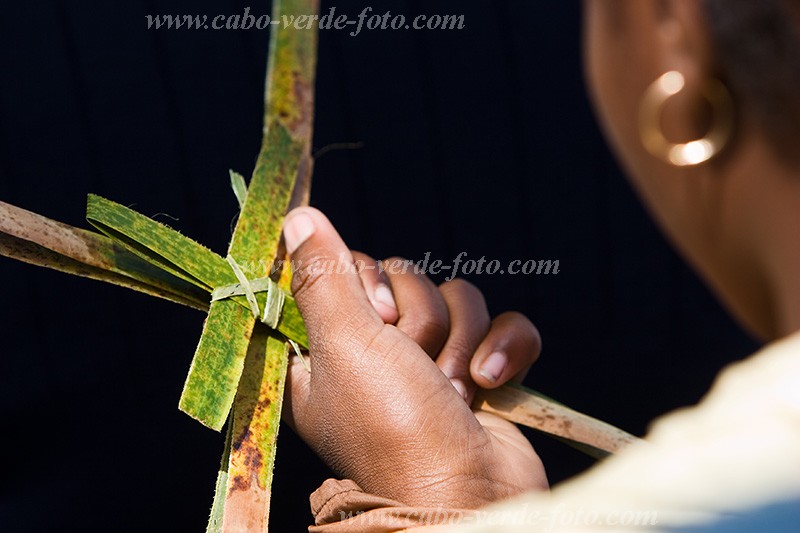 Insel: Santiago  Wanderweg:  Ort: Assomada Motiv: Palmsonntag Motivgruppe: People Religion © Florian Drmer www.Cabo-Verde-Foto.com