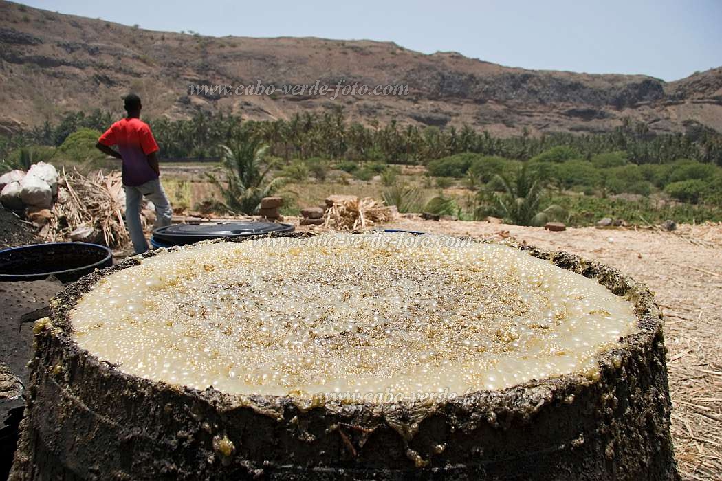 Santiago : Ribeira da Branca : Fabricao de grogue : People WorkCabo Verde Foto Gallery