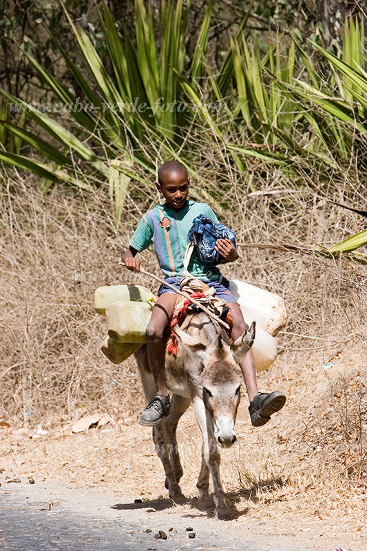 Insel: Santiago  Wanderweg:  Ort: Rui Vaz Motiv: Junge auf Esel Motivgruppe: People Children © Florian Drmer www.Cabo-Verde-Foto.com