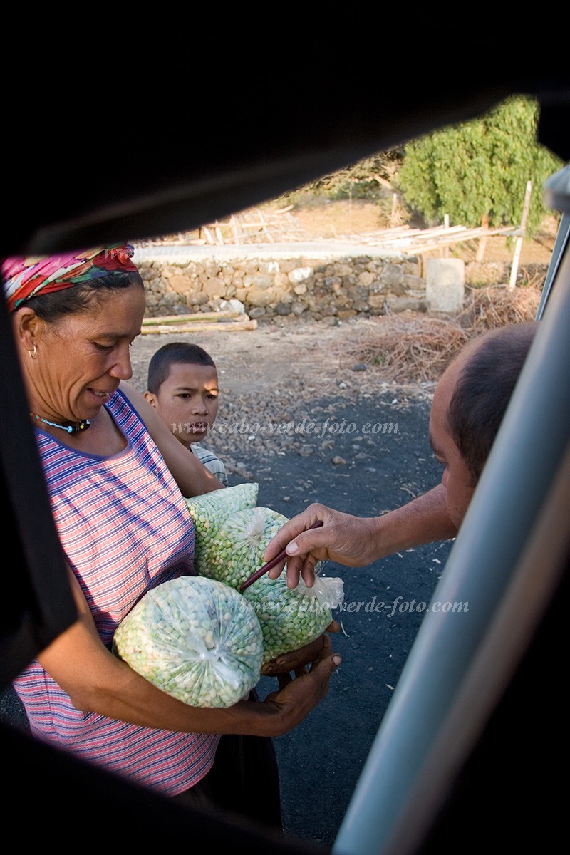 Fogo : Ch das Caldeiras : bean : People WorkCabo Verde Foto Gallery