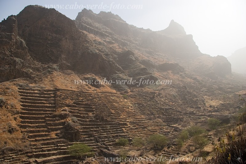 So Nicolau : Praia Branca :  : Landscape AgricultureCabo Verde Foto Gallery