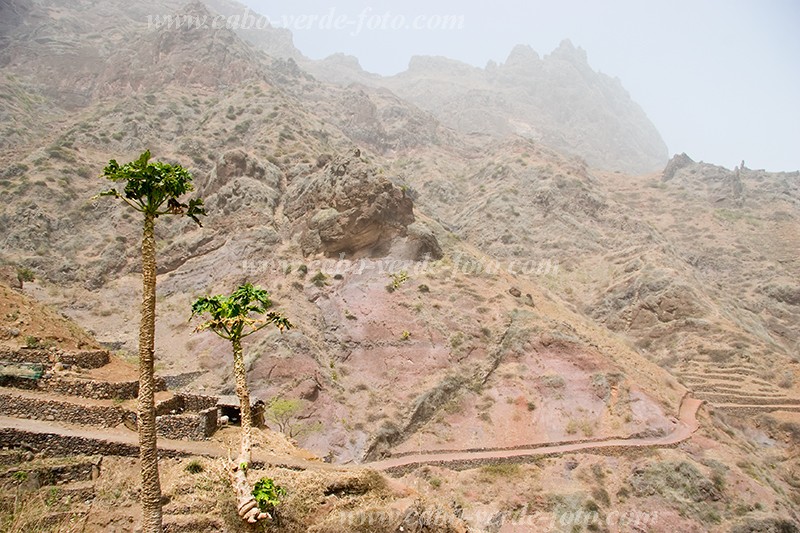 So Nicolau :  :  : Landscape MountainCabo Verde Foto Gallery