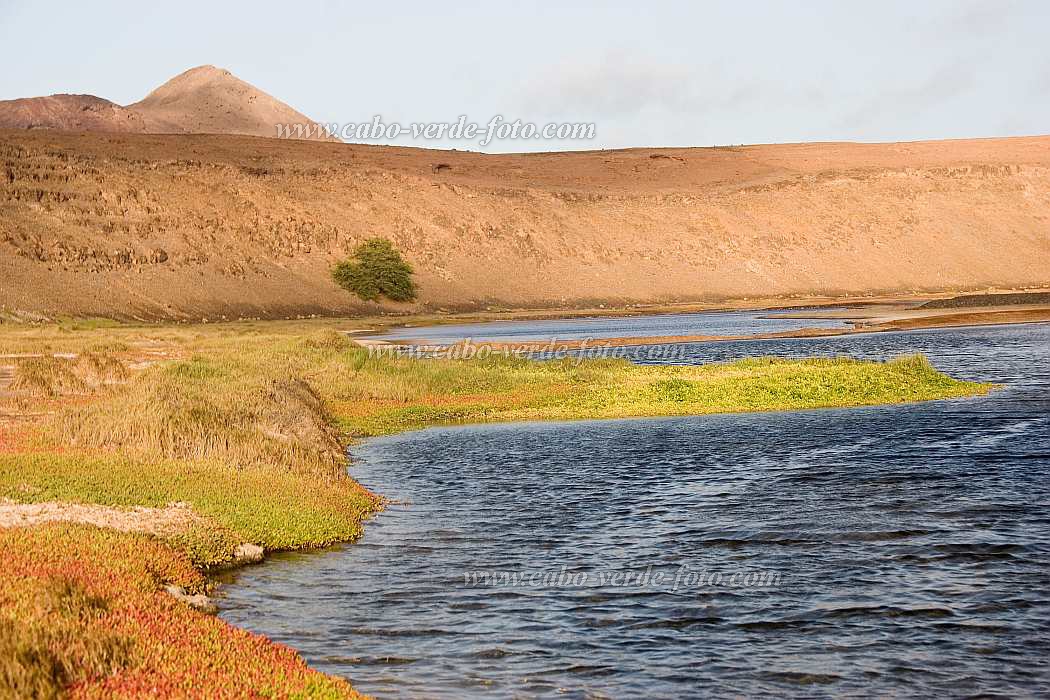 Sal : Pedra de Lume : salt lake : Landscape MountainCabo Verde Foto Gallery